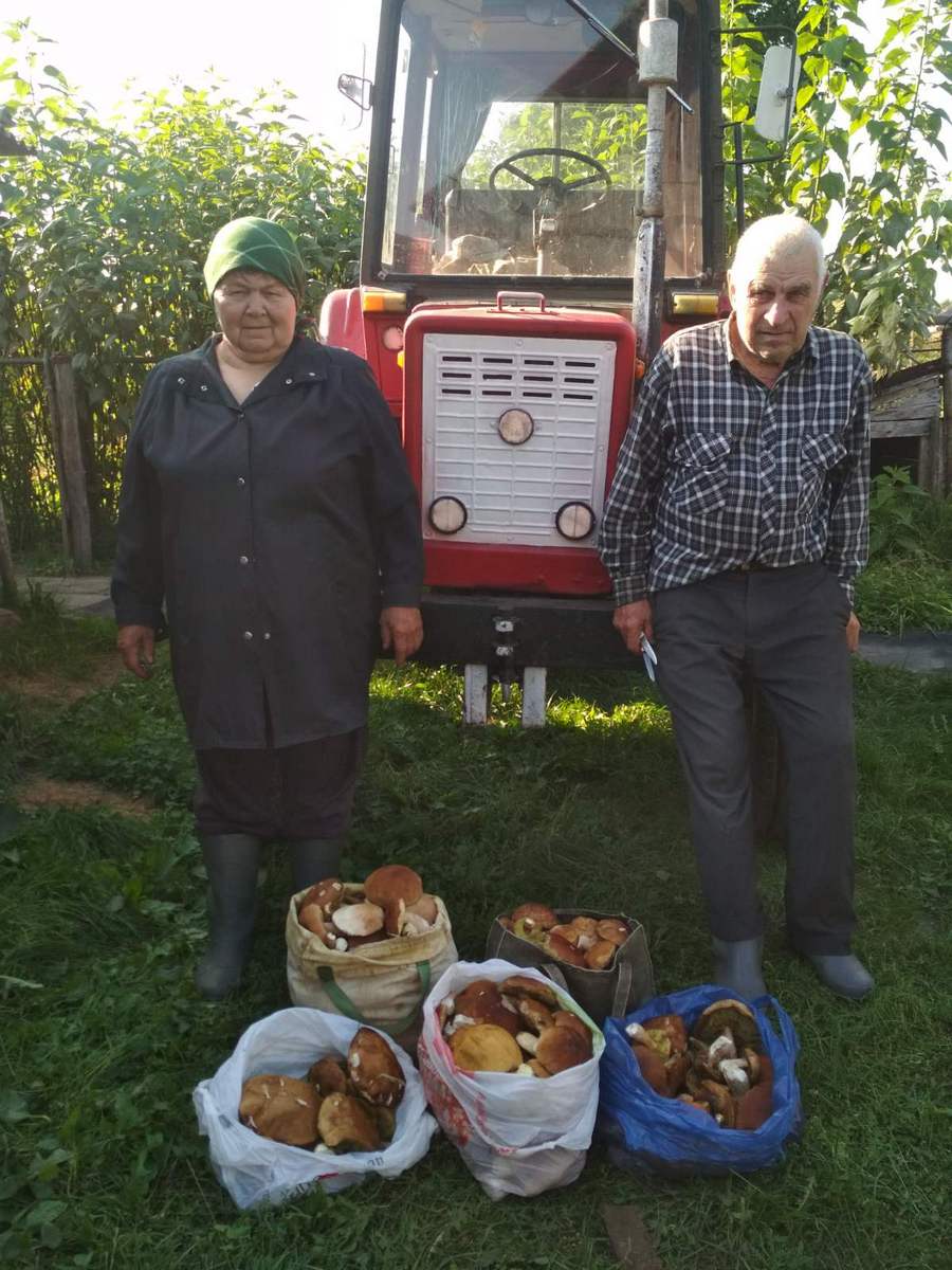 Грибная пора в Ганцевичах